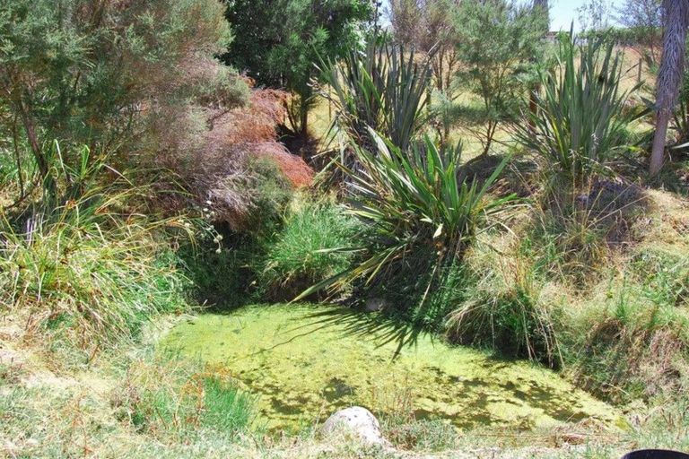 Photo of property in 31 Ranganui Road, Kaiwaka, 0573