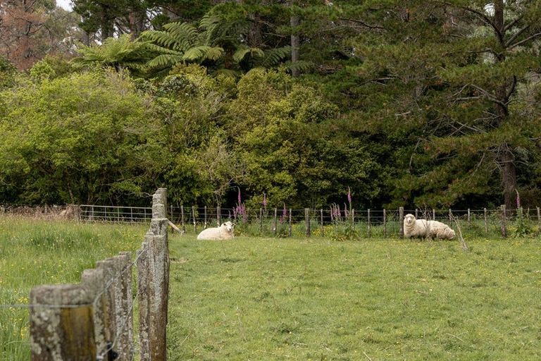 Photo of property in 286f Mclaren Falls Road, Omanawa, Tauranga, 3171