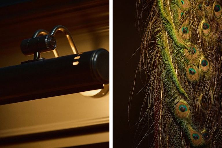 Photo of property in 93 Wairoa Road, Minden, Tauranga, 3171