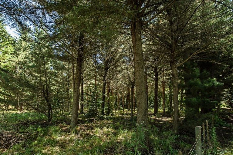 Photo of property in 337 Foothills Road, Okuku, Rangiora, 7473