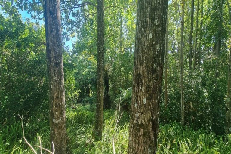 Photo of property in 143 Wallace Loop Road, Koputaroa, Shannon, 5571