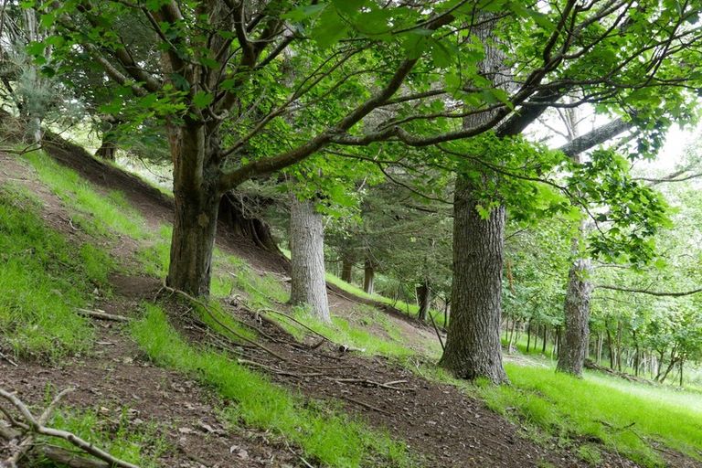 Photo of property in 417 Portobello Road, Macandrew Bay, Dunedin, 9077