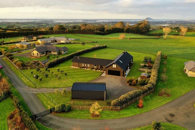 Photo of property in 423b Youngson Road, Whakamarama, Tauranga, 3179