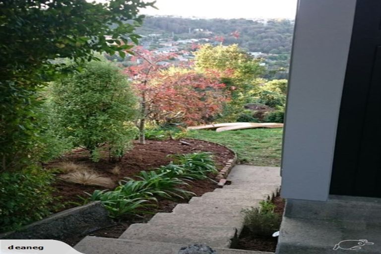 Photo of property in 58 Waimea Avenue, Calton Hill, Dunedin, 9012