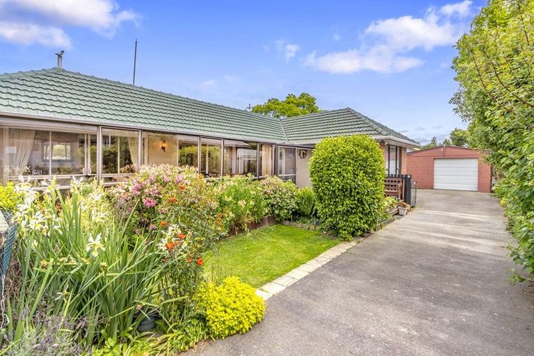 Photo of property in 41 Hindess Street, Halswell, Christchurch, 8025