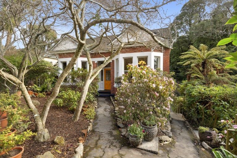 Photo of property in 41 Littlebourne Road, Roslyn, Dunedin, 9010