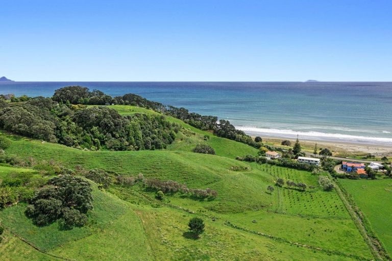 Photo of property in 59 Pohutukawa Drive, Waiotahe, Opotiki, 3198