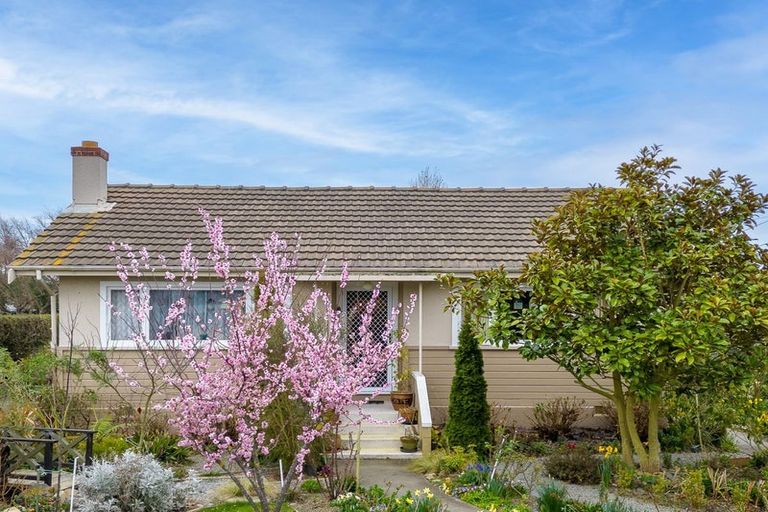 Photo of property in 8 Moorhouse Street, Waimate, 7924