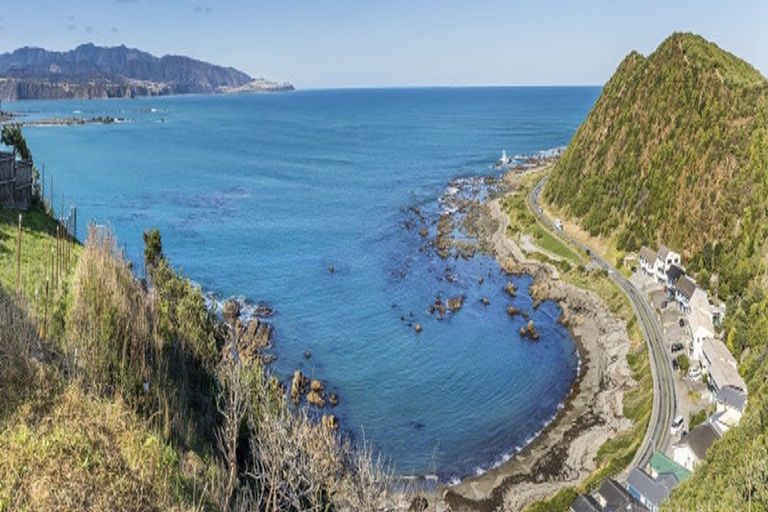 Photo of property in 25 Hungerford Road, Lyall Bay, Wellington, 6022