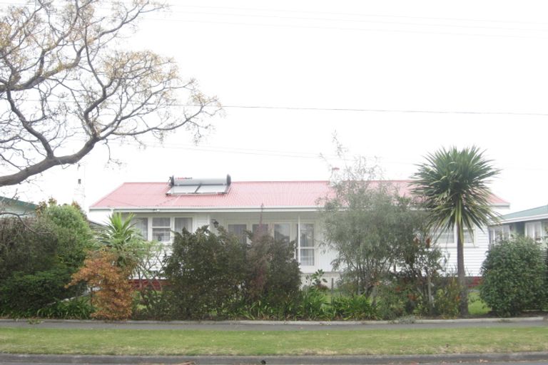 Photo of property in 95 Geddis Avenue, Maraenui, Napier, 4110