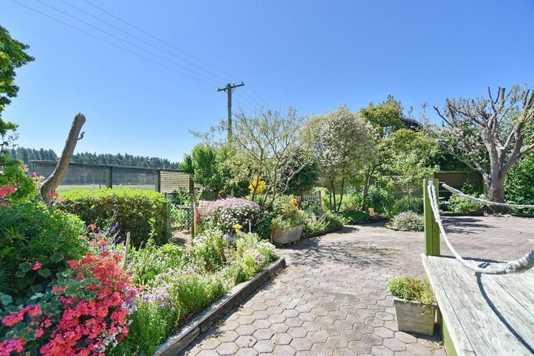 Photo of property in 50 Grierson Avenue, Amberley, 7481