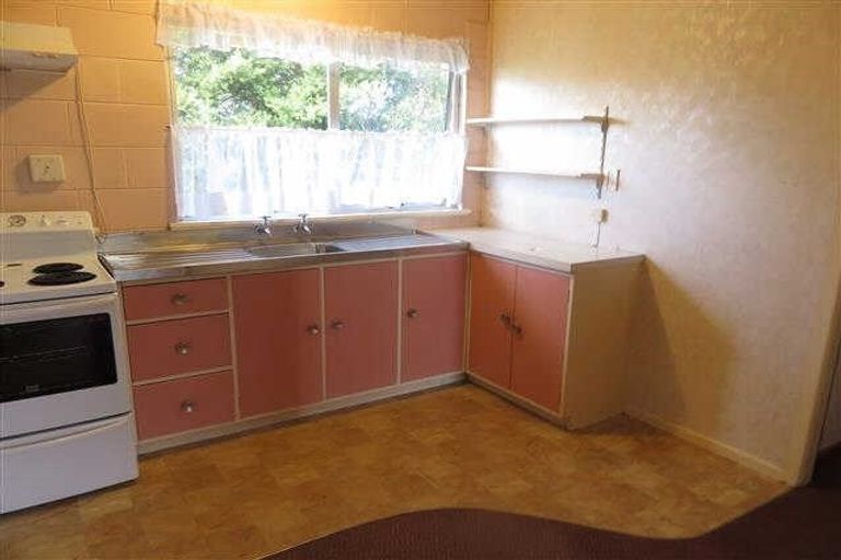 Photo of property in 103 Nixon Street, Hamilton East, Hamilton, 3216