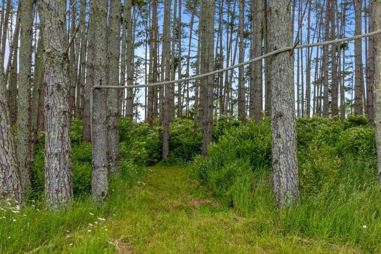 Photo of property in 74 Brookvale Lane, Taupaki, 0782