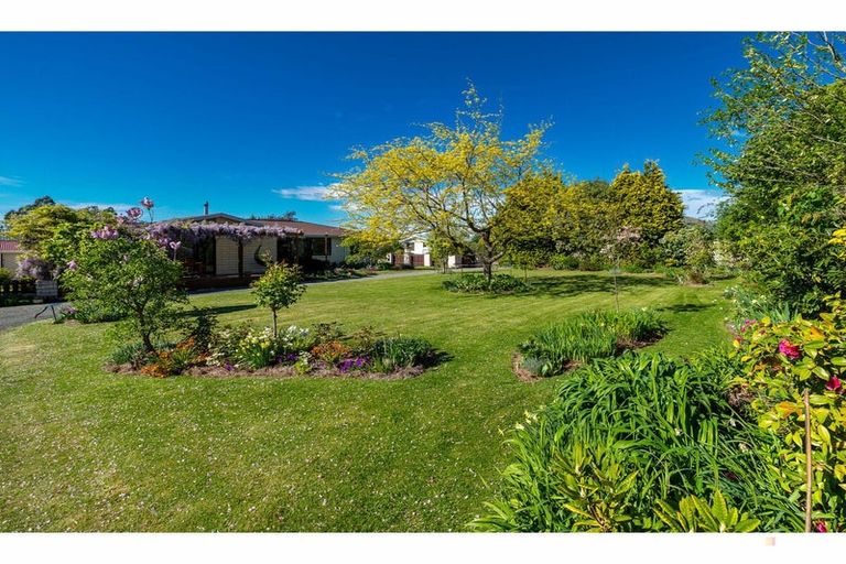 Photo of property in 1 Pitman Place, Waimate, 7924