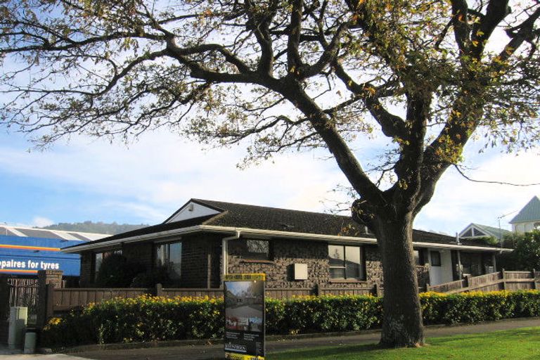 Photo of property in 29 Brunswick Street, Hutt Central, Lower Hutt, 5010