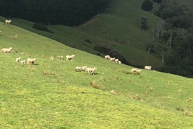 Photo of property in 724 Waikare Road, Waerenga, Te Kauwhata, 3781