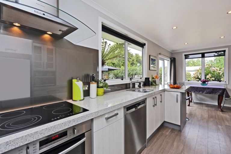 Photo of property in 229a Kenilworth Road, Mayfair, Hastings, 4122