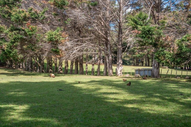 Photo of property in 697 Kohumaru Road, Mangonui, 0494