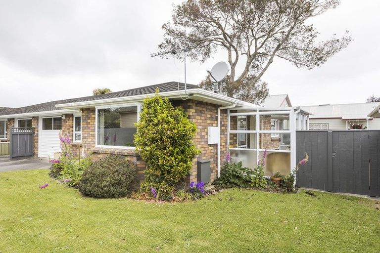 Photo of property in 10a Millar Street, Terrace End, Palmerston North, 4410