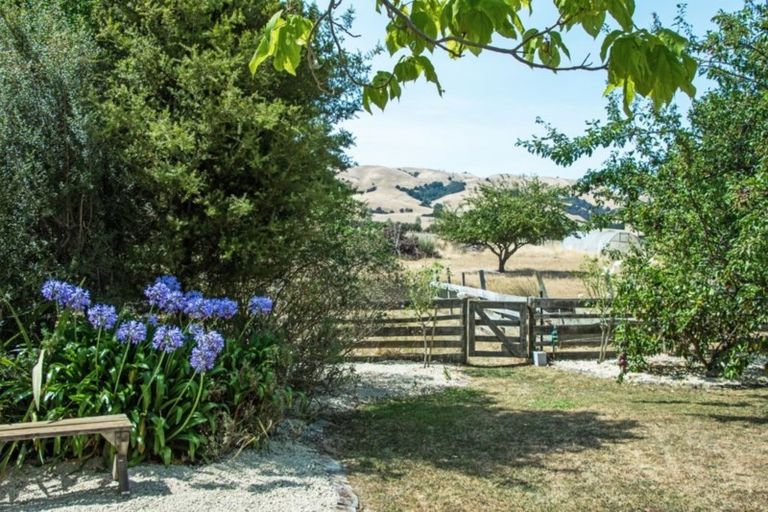 Photo of property in 1447 Martinborough Masterton Road, Gladstone, Masterton, 5884