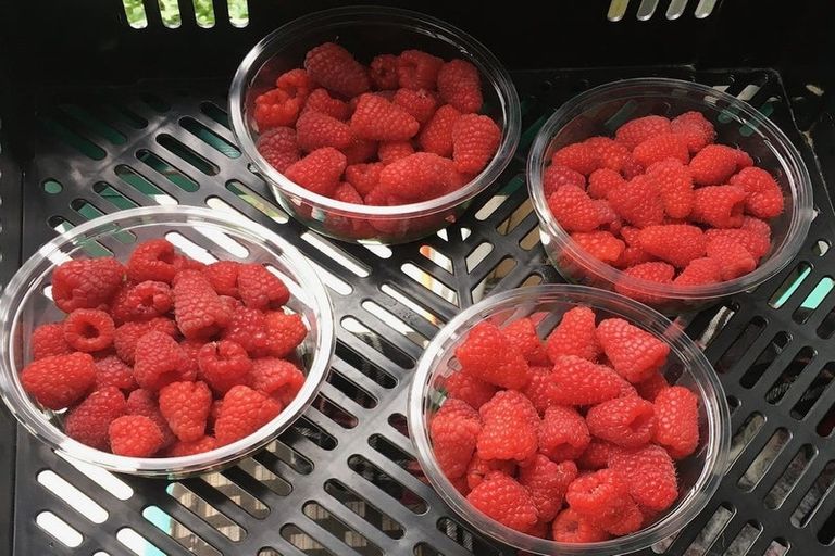 Photo of property in 63 Coopers Road, Leeston, 7682