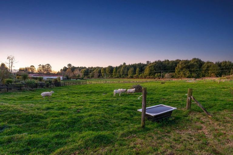 Photo of property in 14 Old State Mill Road, Mamaku, 3020