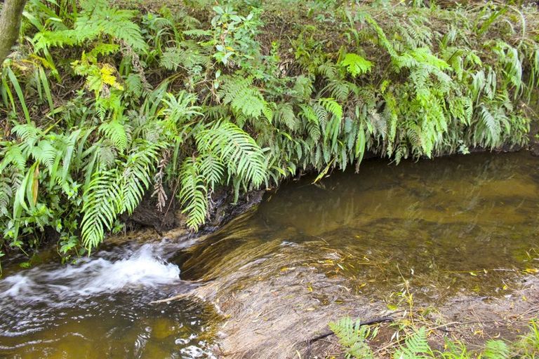 Photo of property in 57 Snowden Street, Ohauiti, Tauranga, 3112