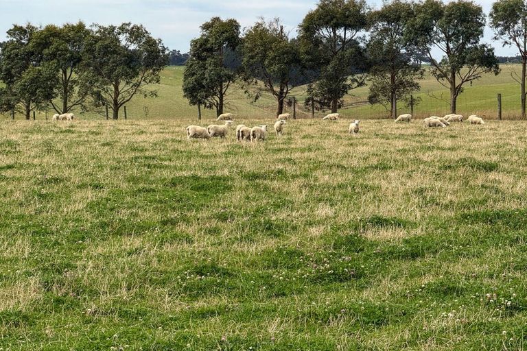 Photo of property in 10 Four Mile Creek Road, Te Houka, Balclutha, 9273