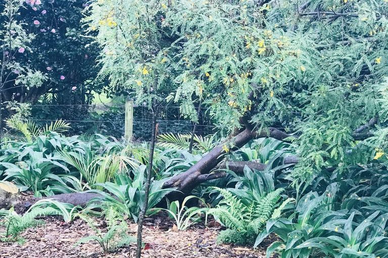 Photo of property in 42 Mcfarlane Street, Oakura, 4314