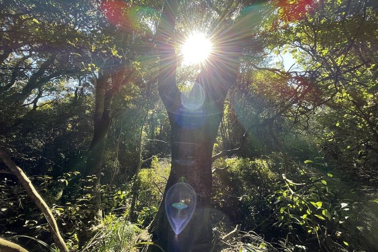 Photo of property in 14 Tarata Street, Kaka Point, 9271