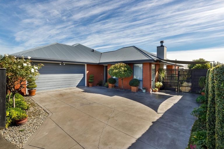 Photo of property in 44 Tremorne Avenue, Blenheim, 7201