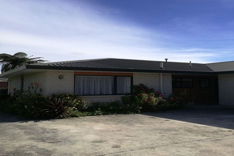 Photo of property in 32 Salisbury Street, Levin, 5510