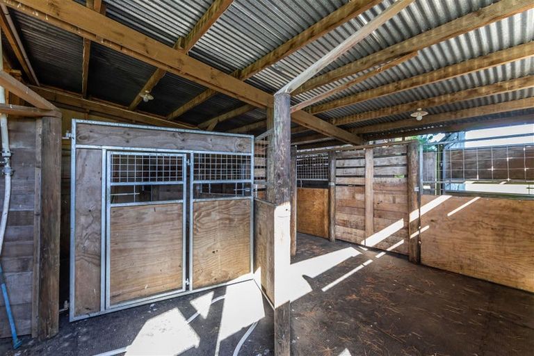 Photo of property in 313 Plaskett Road, Fernside, Rangiora, 7471