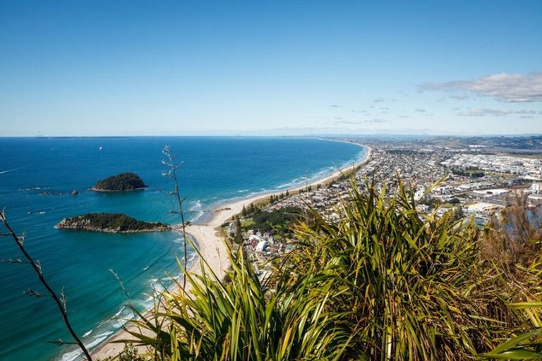 Photo of property in 42a Miro Street, Mount Maunganui, 3116