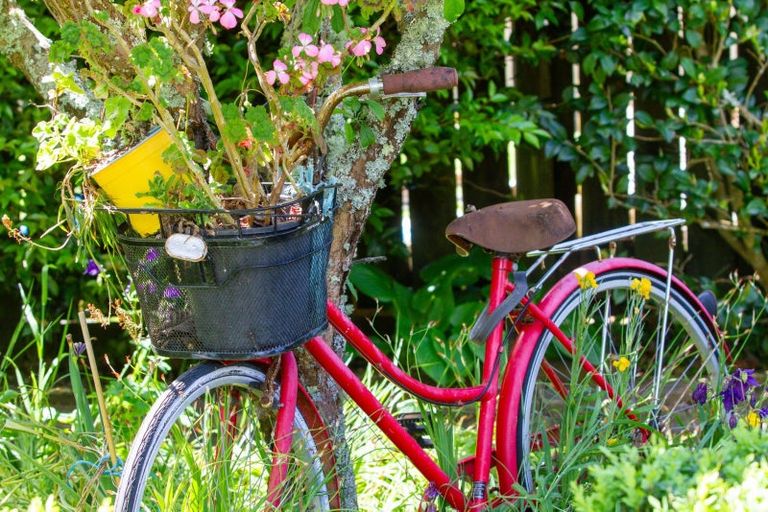 Photo of property in 9 Grosvenor Place, Katikati, 3129