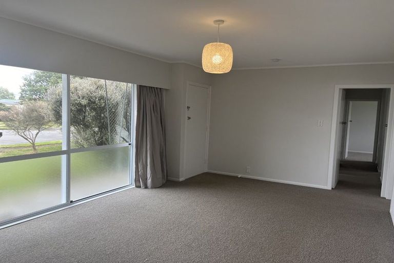 Photo of property in 18 Mersey Street, Levin, 5510