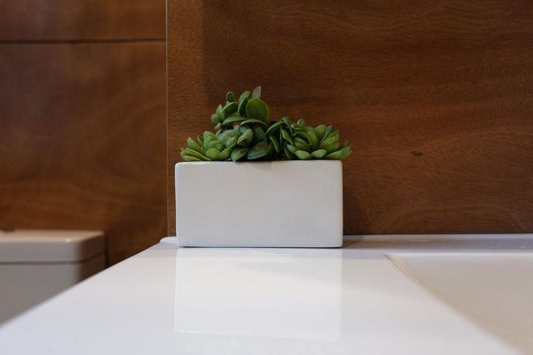 Photo of property in 7b Lyn Street, Lynmouth, New Plymouth, 4310