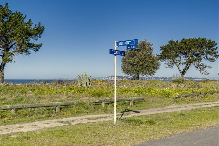 Photo of property in 5 Anthony Place, Bay View, Napier, 4104