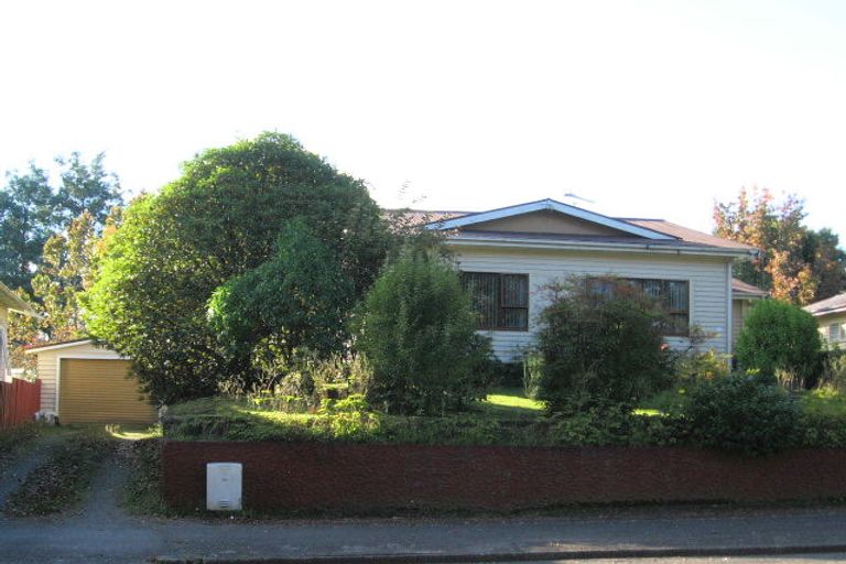 Photo of property in 51 Arapuni Street, Putaruru, 3411