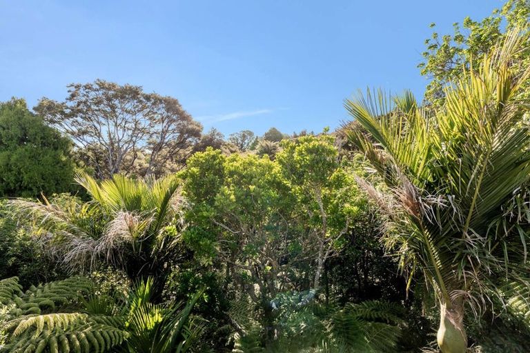 Photo of property in 23 Punga Place, Whitianga, 3510