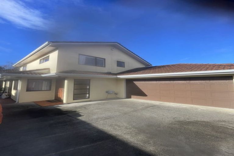 Photo of property in 20 Karetu Road, Greenlane, Auckland, 1051