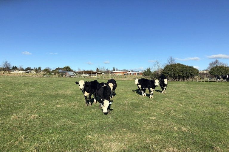 Photo of property in 2/17 Lake View Road, Takapuna, Auckland, 0622