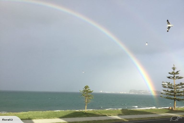 Photo of property in 88 The Esplanade, Westshore, Napier, 4110