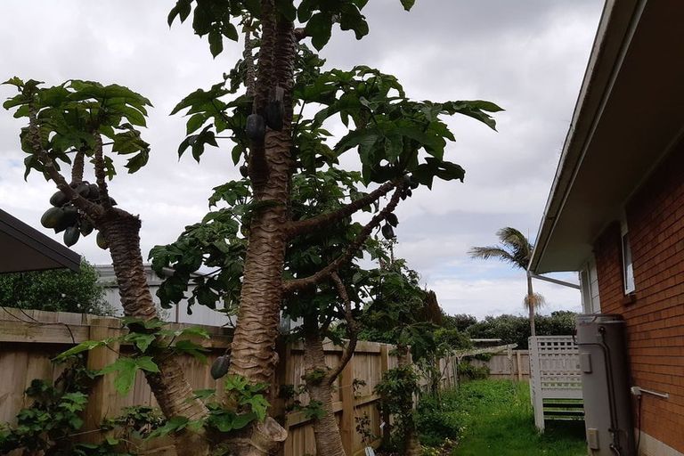 Photo of property in 1a Kiwi Esplanade, Mangere Bridge, Auckland, 2022