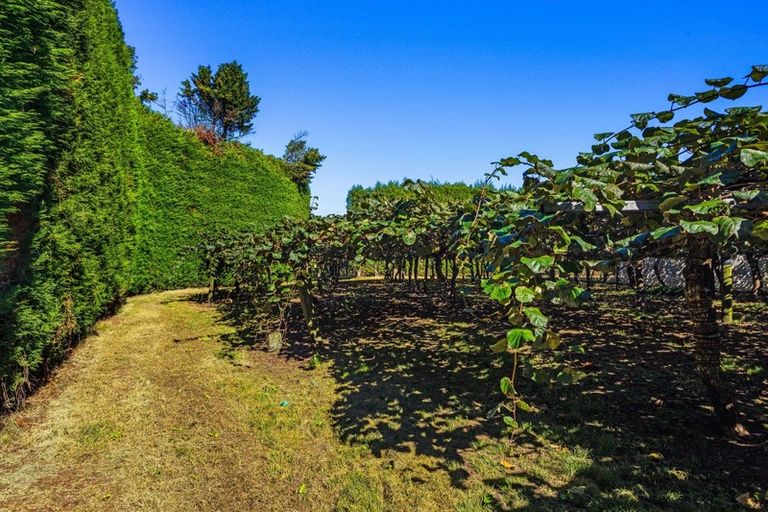 Photo of property in 31 Clark Cross Road, Otara, Opotiki, 3197