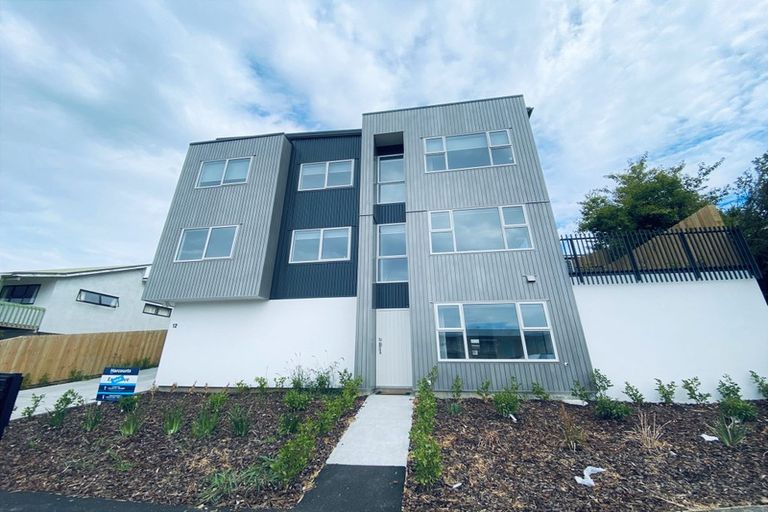 Photo of property in 207b Cambridge Road, Hillcrest, Hamilton, 3216