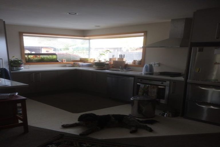 Photo of property in 107a Edinburgh Street, Spreydon, Christchurch, 8024