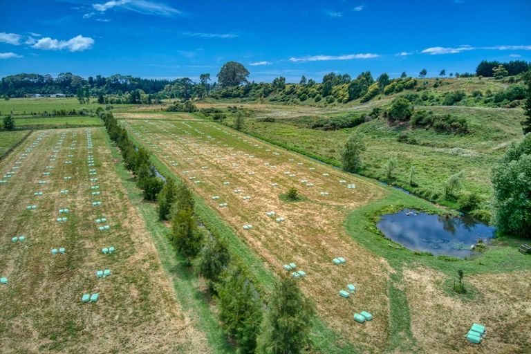 Photo of property in 56b Te Puna Road, Te Puna, Tauranga, 3174