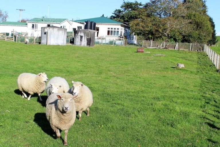 Photo of property in 346 Umutaoroa Road, Dannevirke, 4978