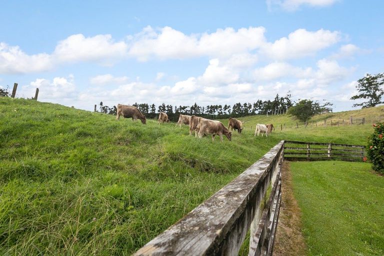 Photo of property in 12 Upland Road, Aongatete, Katikati, 3181